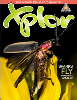 xplor front cover may-june